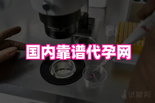 哈尔滨助孕网 4